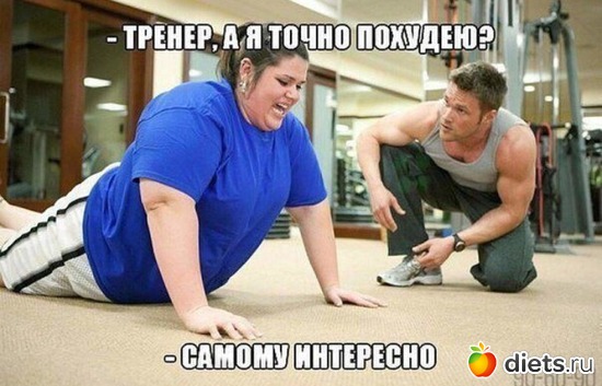 1 ����: ����