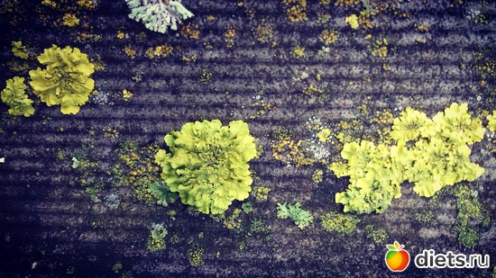 16 ����: ����� ����