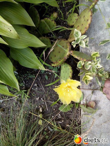 1 ����: �������)))