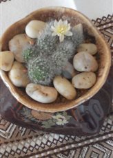 �������)))