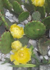 �������)))