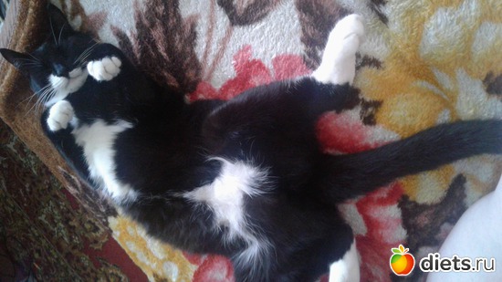 20 ����: ��� �����