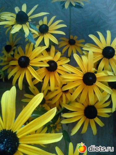 10 ����: ��������