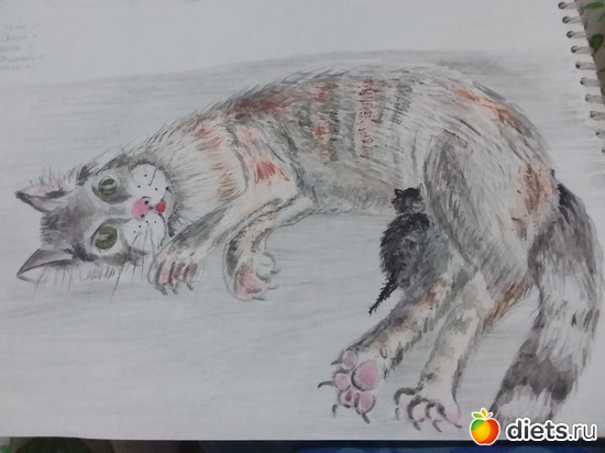 45 ����: ��� ��������