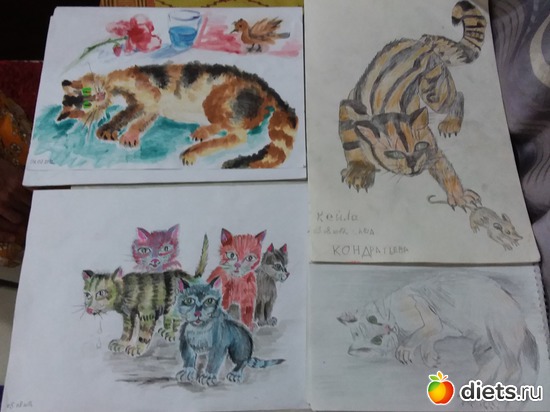 46 ����: ��� ��������