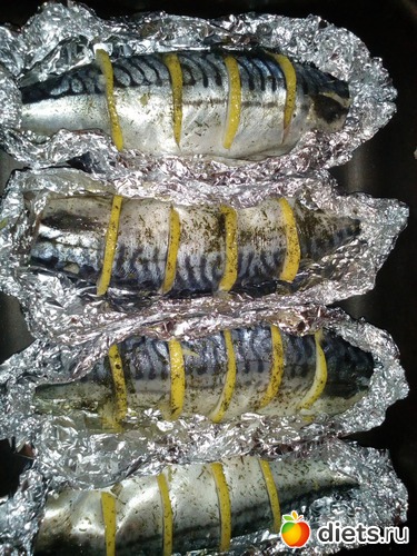 74 ����: ��������