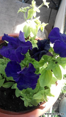 2 ����: ��� ��������!