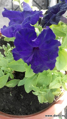 3 ����: ��� ��������!