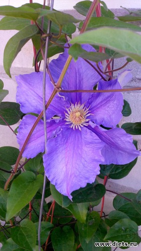 5 ����: ��� ��������!