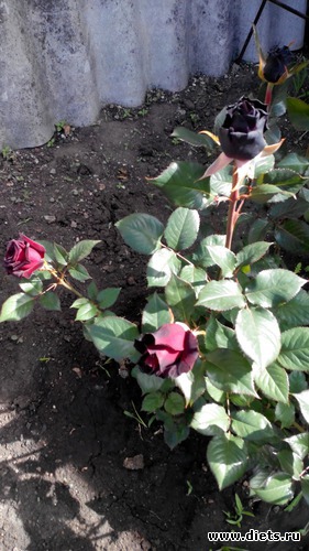 8 ����: ��� ��������!