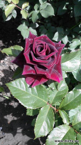 9 ����: ��� ��������!