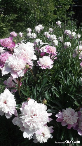 10 ����: ��� ��������!