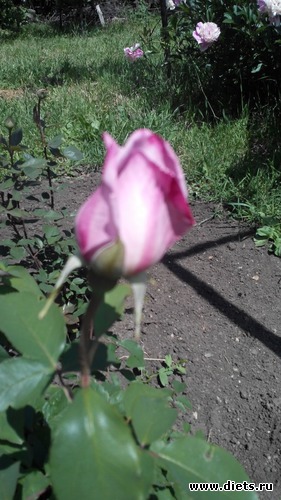 14 ����: ��� ��������!