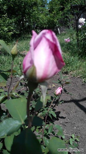 16 ����: ��� ��������!