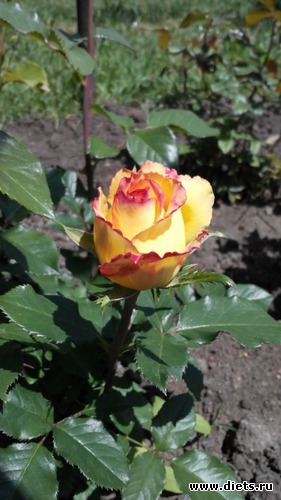 18 ����: ��� ��������!