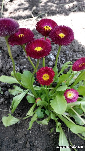 19 ����: ��� ��������!