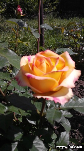 20 ����: ��� ��������!