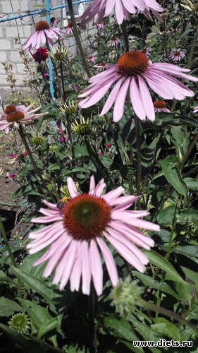 21 ����: ��� ��������!