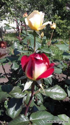 22 ����: ��� ��������!