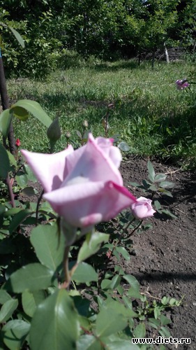 24 ����: ��� ��������!