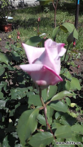 25 ����: ��� ��������!