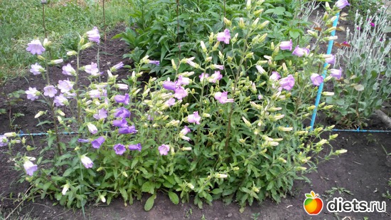 31 ����: ��� ��������!