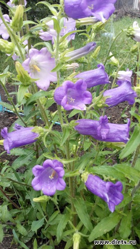 32 ����: ��� ��������!