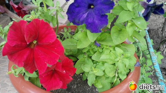 34 ����: ��� ��������!