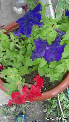 35 ����: ��� ��������!