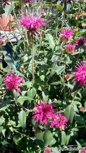 40 ����: ��� ��������!