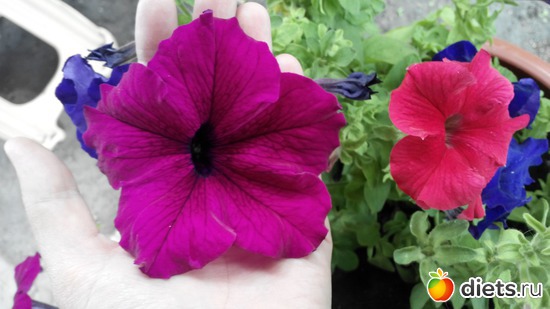 43 ����: ��� ��������!