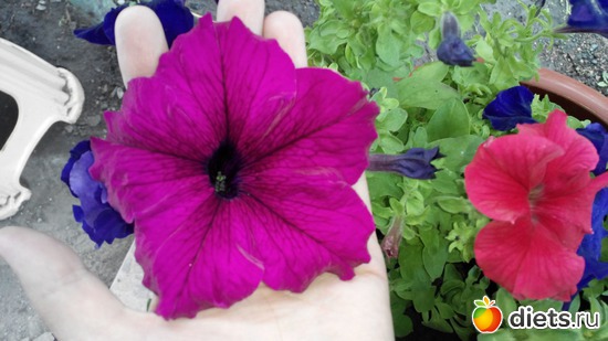 44 ����: ��� ��������!