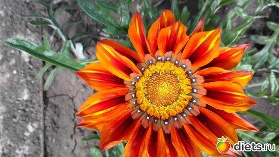 45 ����: ��� ��������!