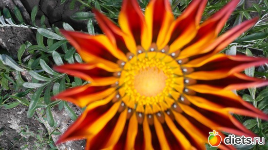 46 ����: ��� ��������!