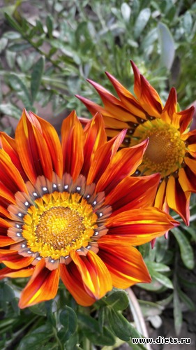 47 ����: ��� ��������!