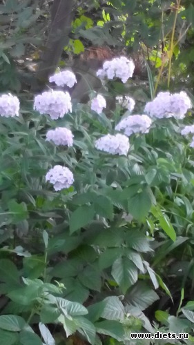 48 ����: ��� ��������!