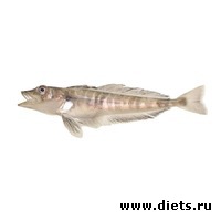 ������� ����