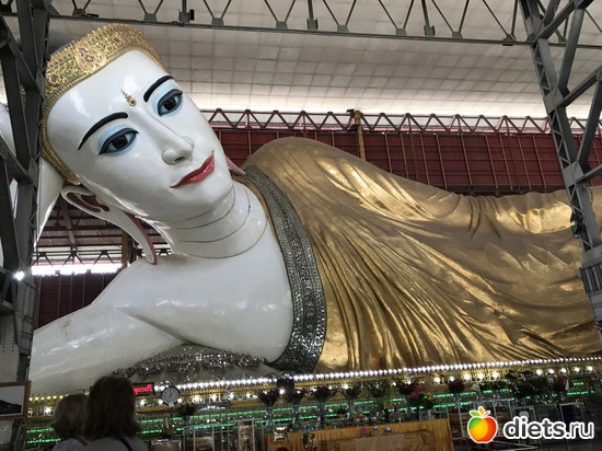 4 ����: ������ 2017. �����