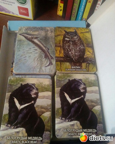 21 ����: �����