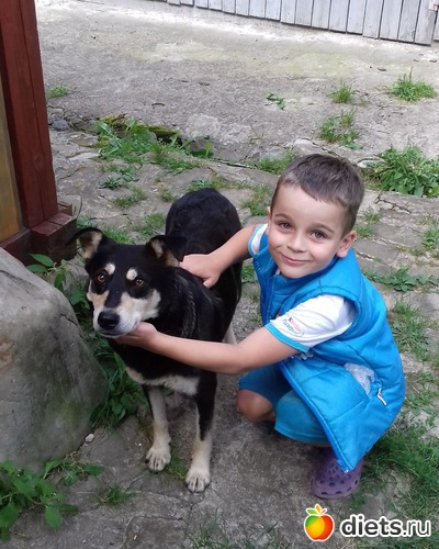 24 ����: ����� ����