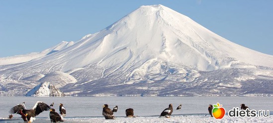 19 ����: ��������