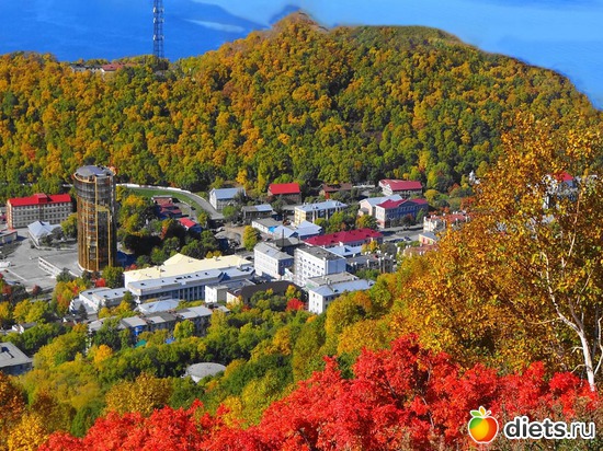 21 ����: ��������