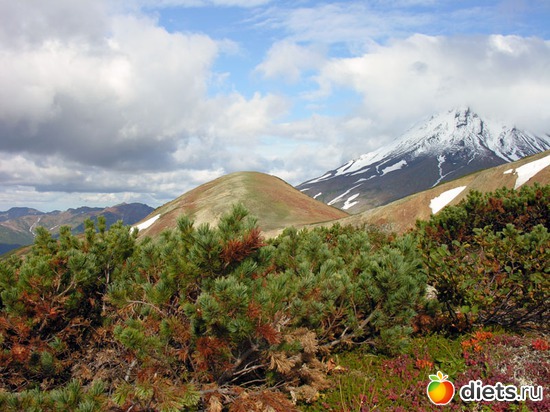 24 ����: ��������