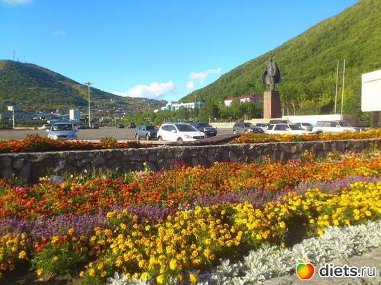 29 ����: ��������