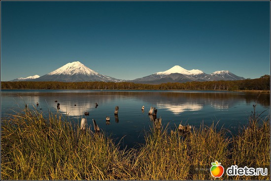 32 ����: ��������