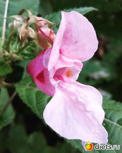 27 ����: ����� ����