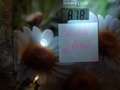 30082017