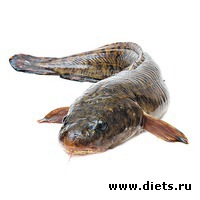 �����, �����