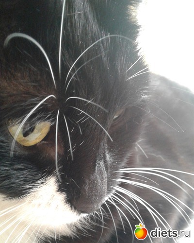 21 ����: ��� �����