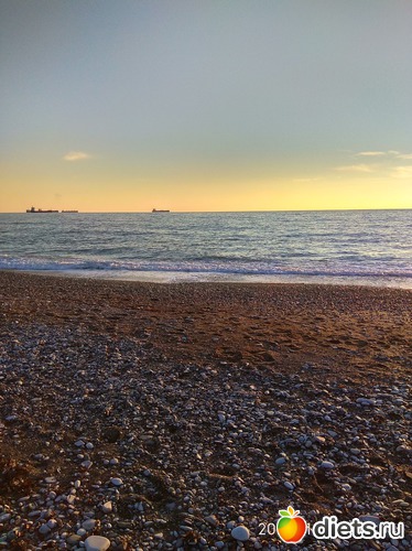 49 ����: ���������